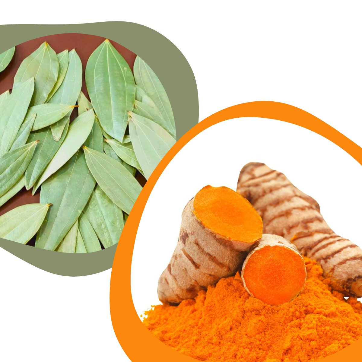 Curcumin Lakadong Turmeric 400gms and Bay Leaves Handpicked & Stem cut (20 grams)